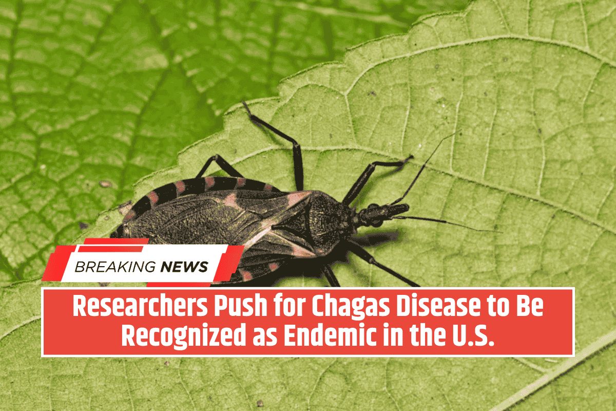 Researchers Push for Chagas Disease to Be Recognized as Endemic in the U.S.